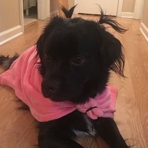 Meet your Posher, Sharon